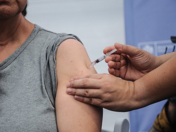 Vacuna influenza 2024.