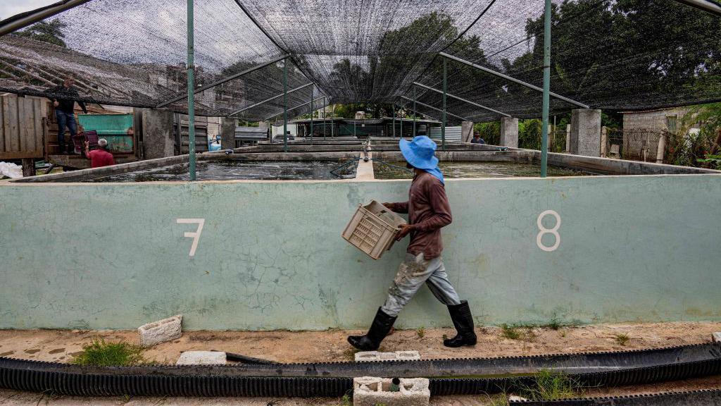 Agricultores en Cuba