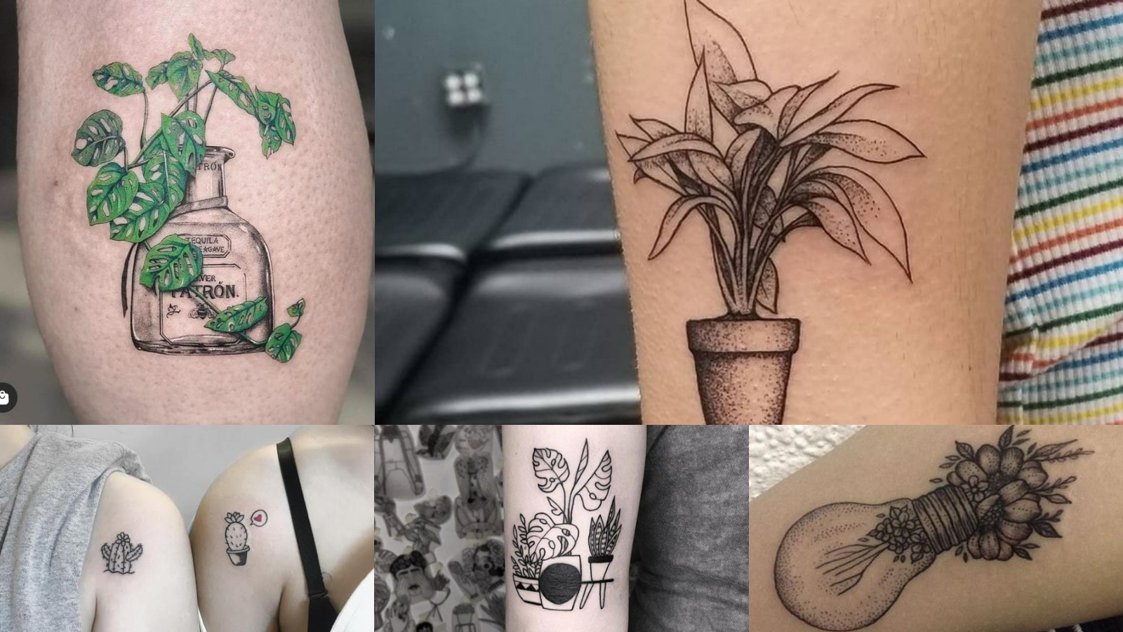 Tatuaje de plantas 2