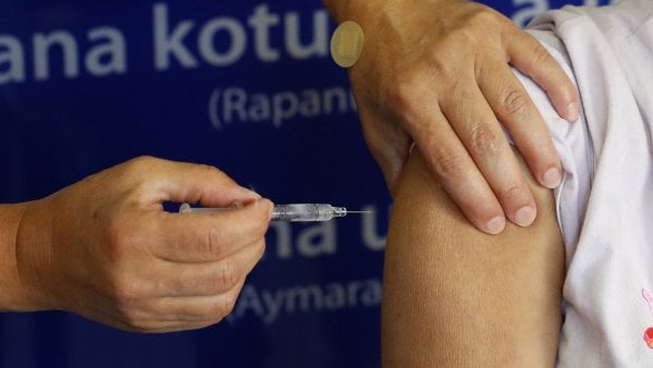 Vacuna influenza 2024.