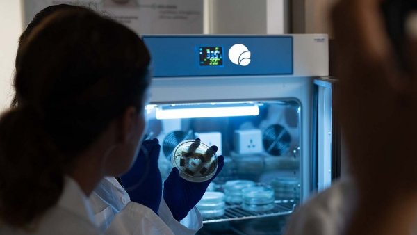 Bioelements, Chile, 2024.