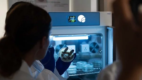 Bioelements, Chile, 2024.