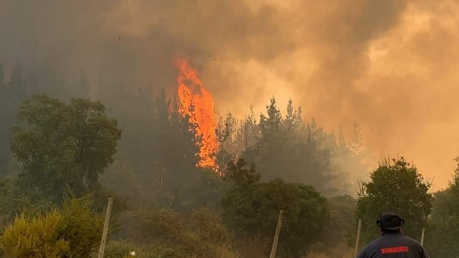 Incendios forestales: se activa Botón Rojo en dos regiones del país