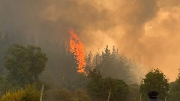 Incendios forestales: se activa Botón Rojo en dos regiones del país