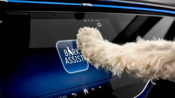 MBUX Bark Assist de Mercedes-Benz, nuevo asistente de voz para perros