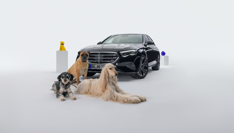 MBUX Bark Assist de Mercedes-Benz: