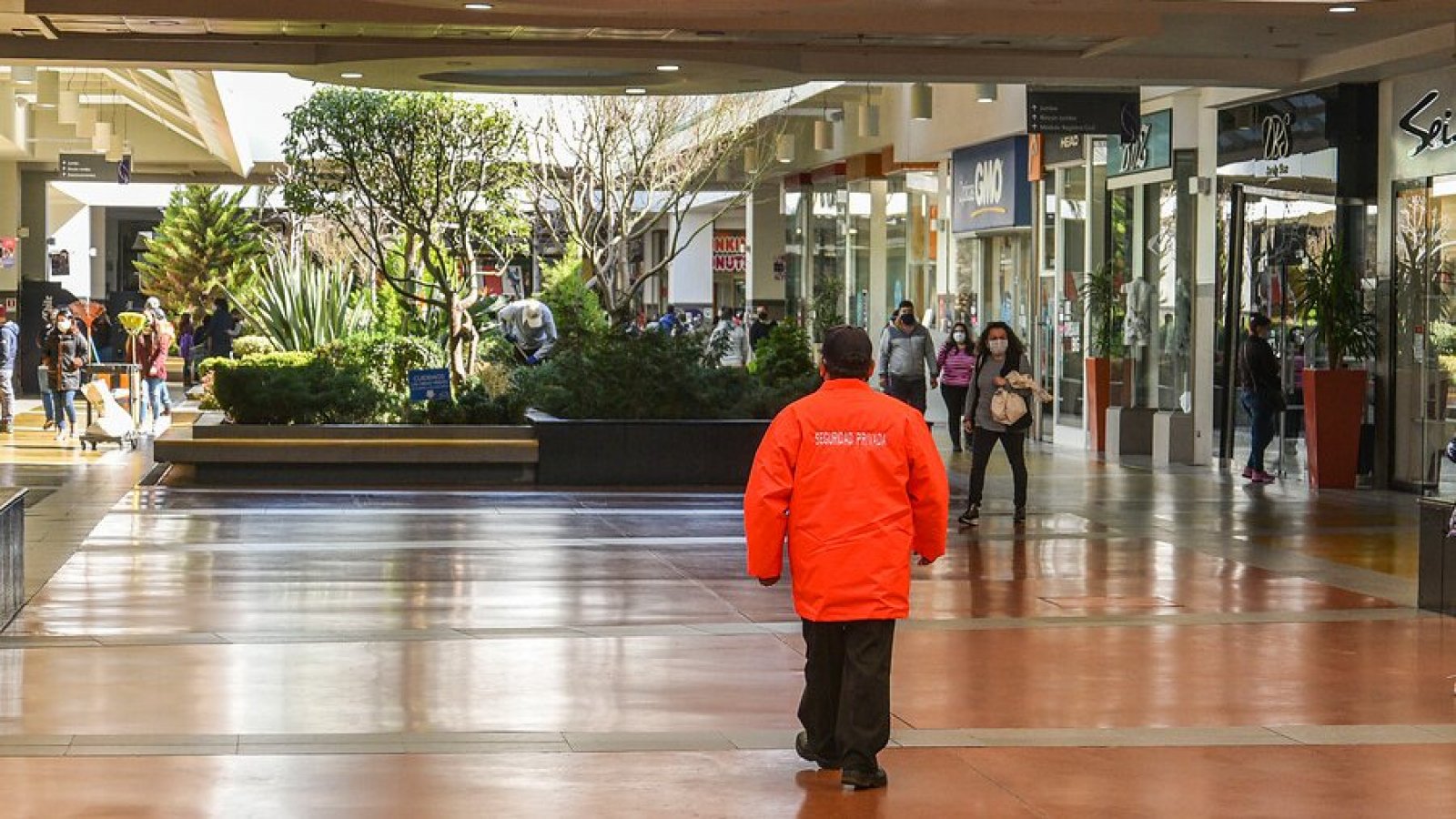 Qué dice la Ley de Seguridad Privada.