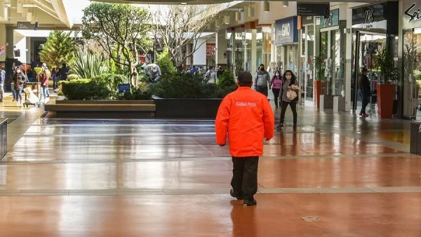 Qué dice la Ley de Seguridad Privada.