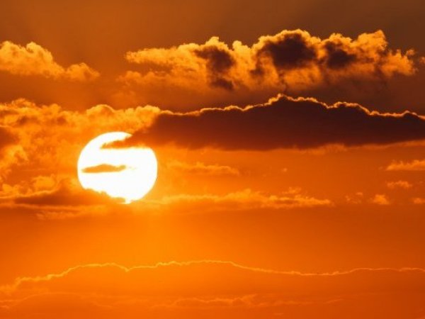 Cambio climático y calor.