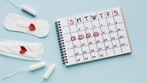 Ciclo menstrual está regulado por 'reloj interno' más que por procesos externos