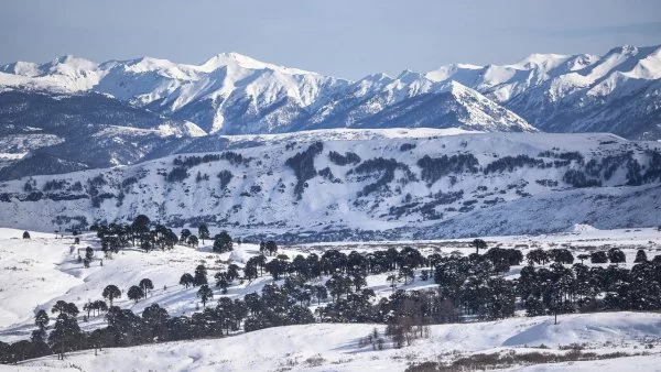 Nieve. Pronóstico de Meteorología