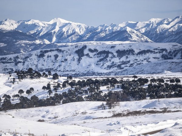 Nieve. Pronóstico de Meteorología