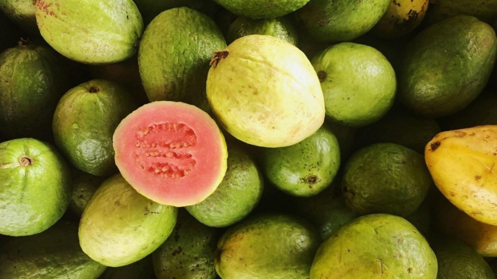 Guayaba: propiedades, características y beneficios