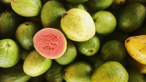Guayaba: propiedades, características y beneficios