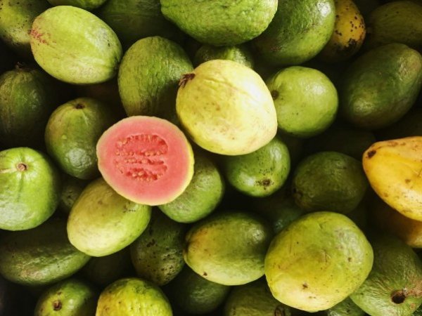 Guayaba: propiedades, características y beneficios