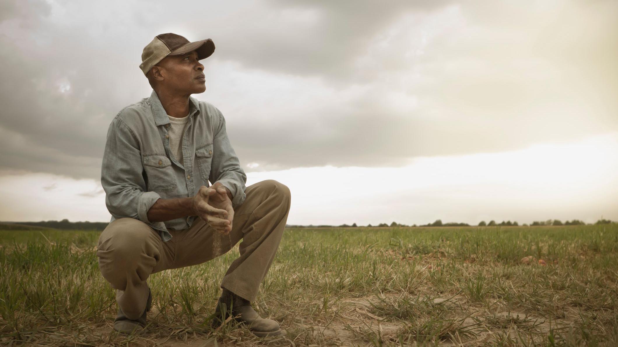 Hombre en el campo