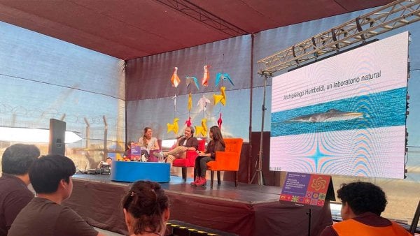 Festival de Ciencia Puerto de Ideas Antofagasta 2024, Chile, 2024.