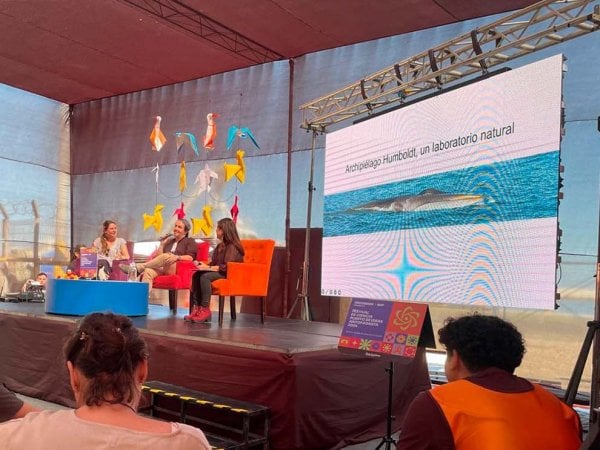 Festival de Ciencia Puerto de Ideas Antofagasta 2024, Chile, 2024.