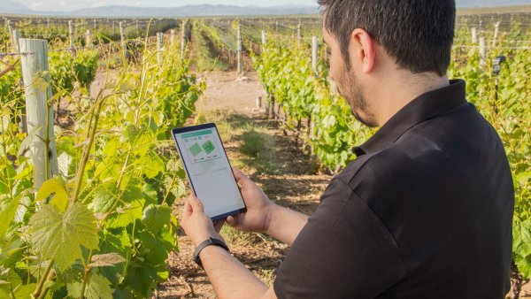 Google, Cuenca de Maipo, Chile, 2024.
