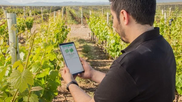 Google, Cuenca de Maipo, Chile, 2024.