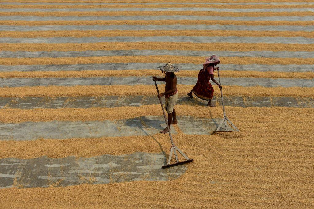 Zona rural de la India