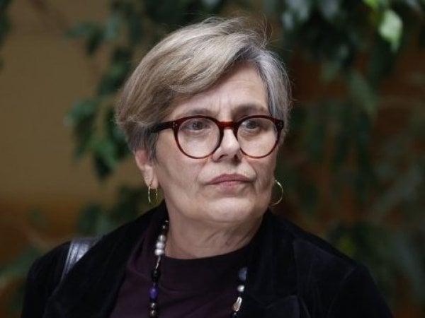 Diputada Lorena Fries