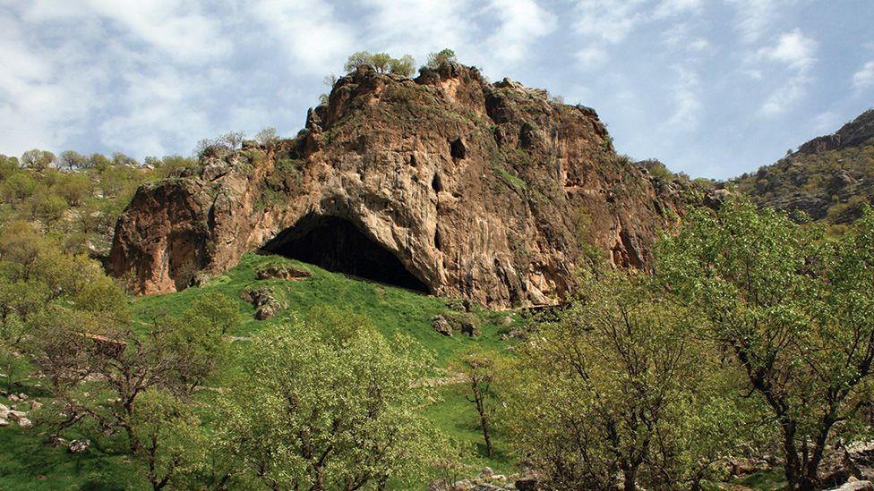 cueva de Shanidar