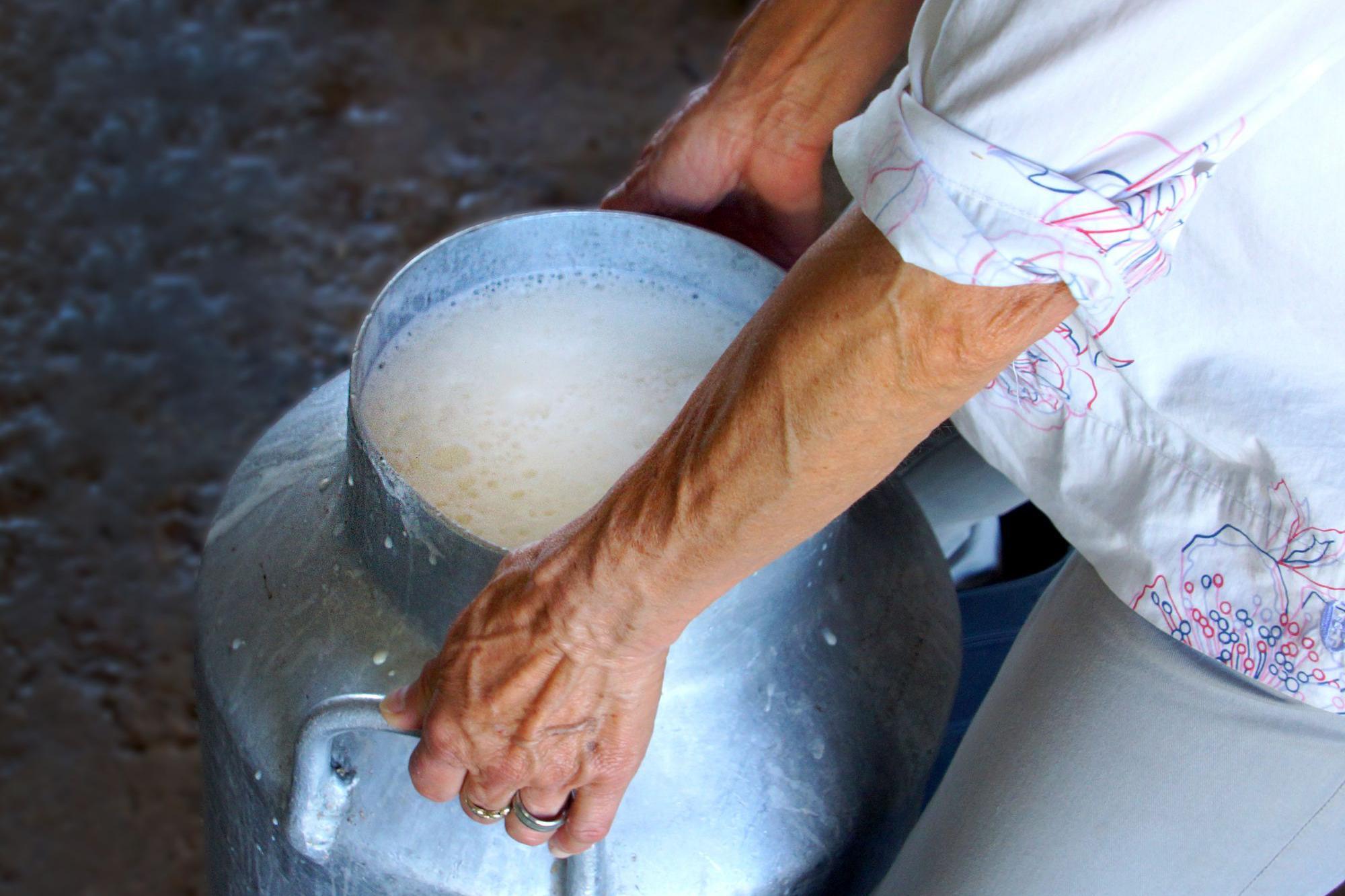 Producción de leche