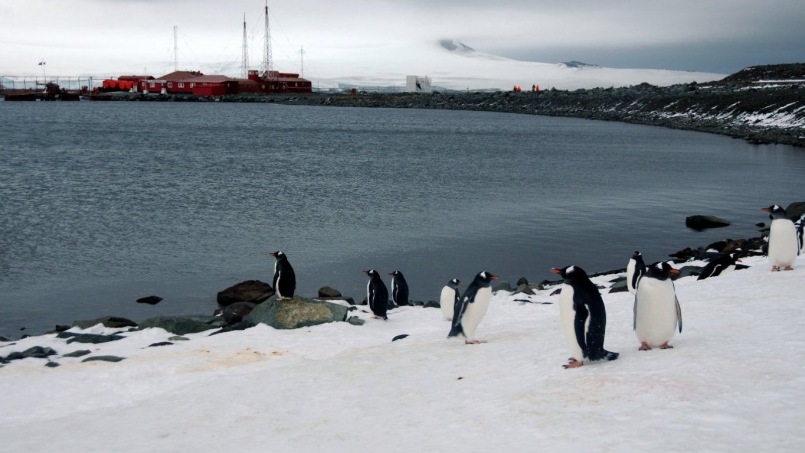 Rusia halla reservas de petróleo en territorio antártico chileno