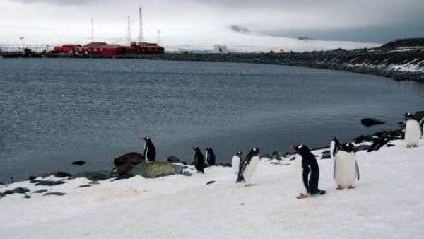 Rusia halla reservas de petróleo en territorio antártico chileno