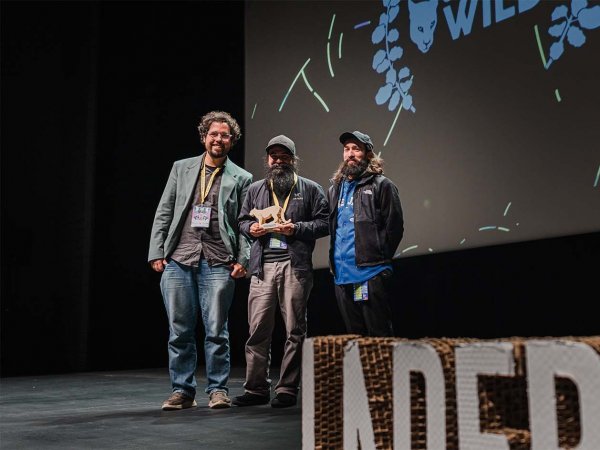 Festival de Cine Santiago Wild, 2024, Chile.