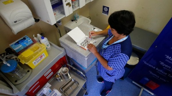 Vacuna influenza 2024