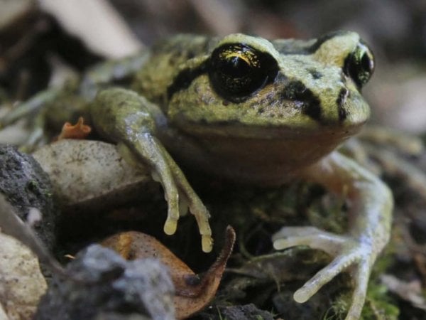 Parque Valle Los Ulmos, Chile, 2024.