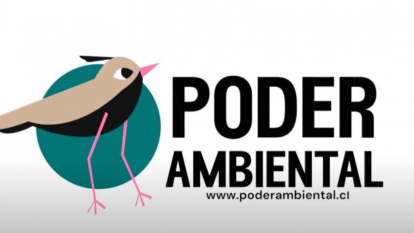 Web de Poder Ambienta, Chile, 2024.
