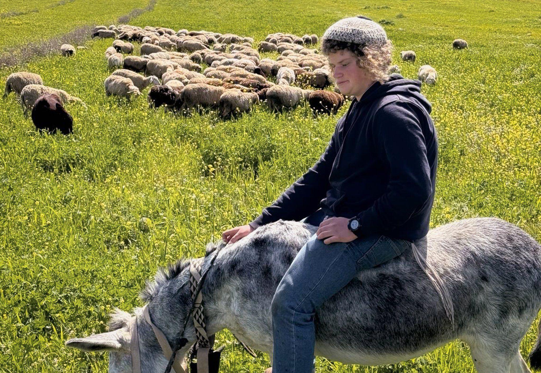 Benjamin Achimeir sentado en un burro, pastoreando sus ovejas