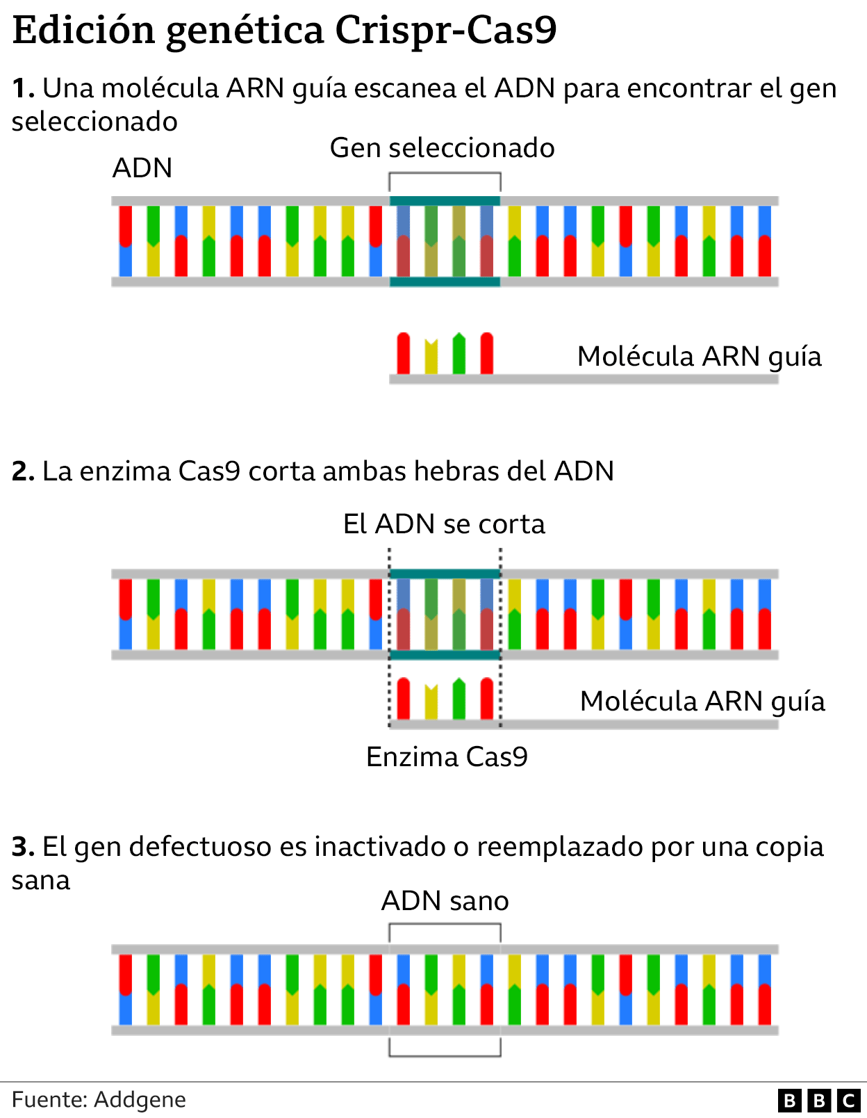 edición genética