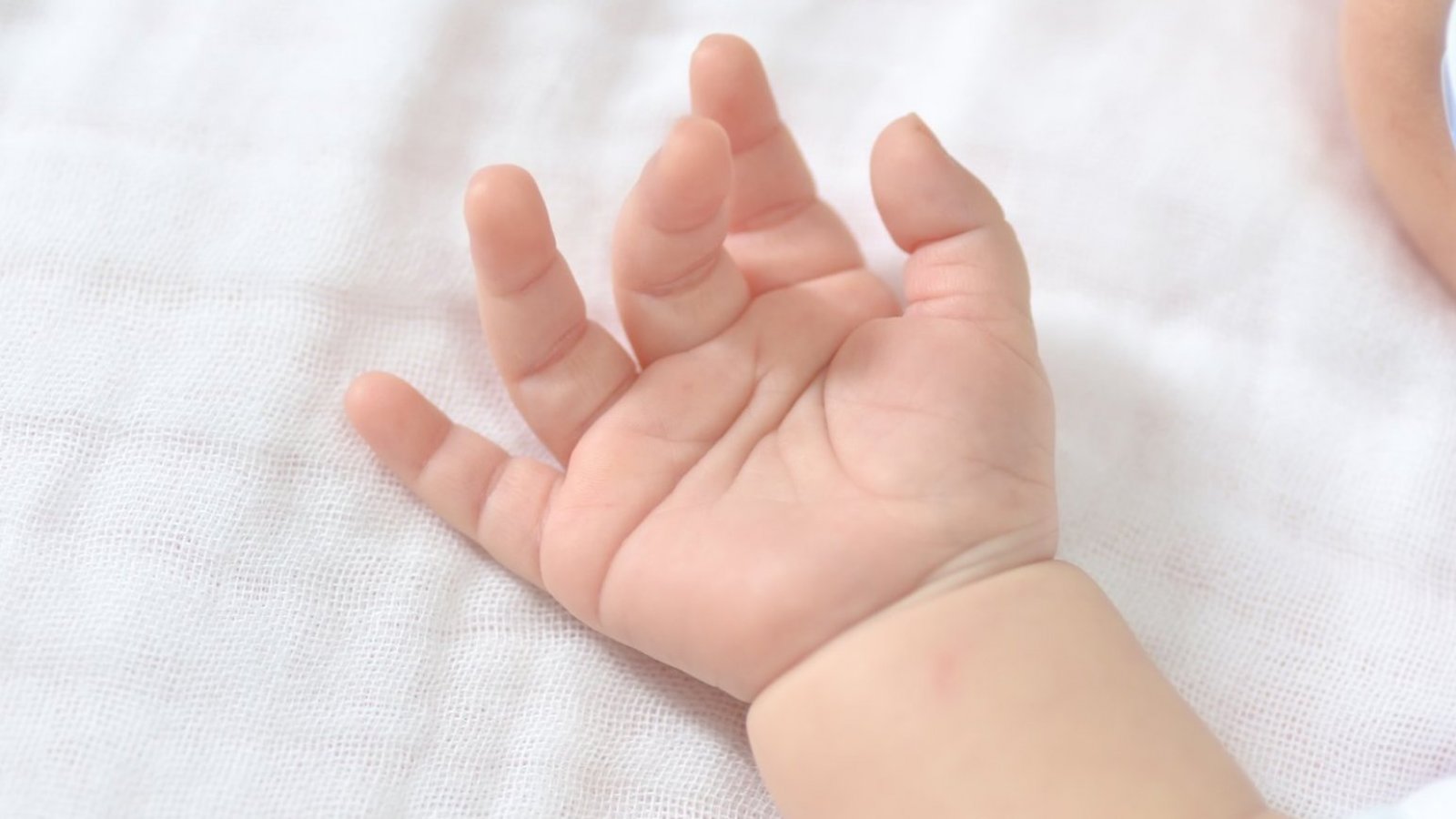 Bebé