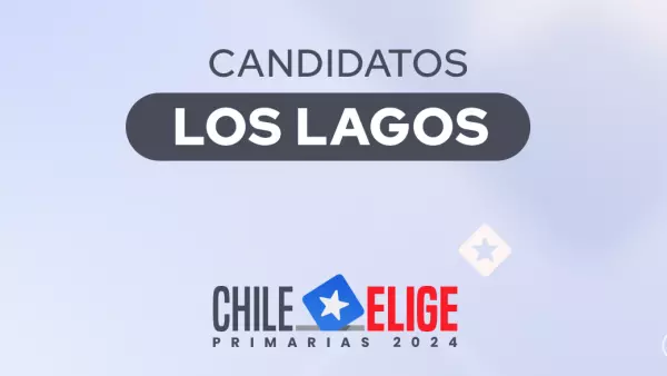 Candidatos región de Los Lagos en primarias 2024