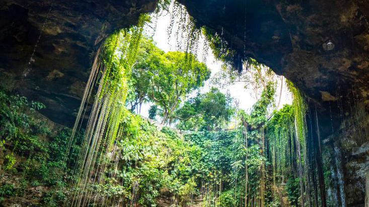 Cenote en Chichén Itzá. 