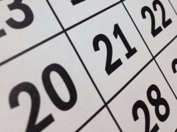 Calendario por feriado del 20 de junio.