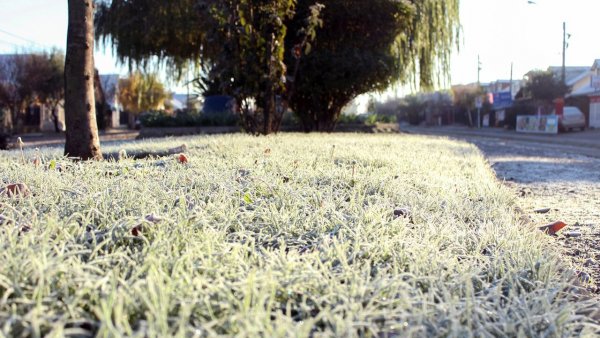 Heladas. Bajas temperaturas.