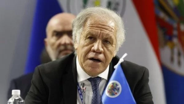 OEA asegura que 