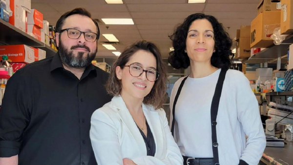 Científicos chilenos liderando la investigación sobre la ELA en el Robarts Research Institute.