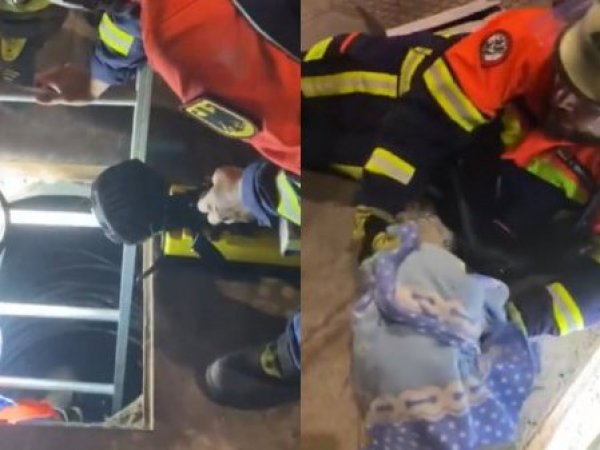VIDEO: Así fue el momento donde un perro fue rescatado tras caer a cámara de agua sin tapa