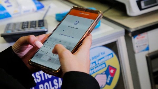 Bolsillo Familiar Electrónico 2024.