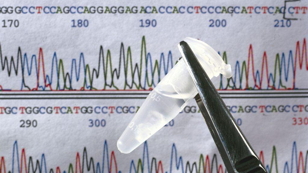 Análisis del genoma humano