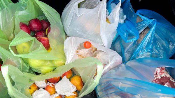 Bolsas de plástico. Chile, 2024.