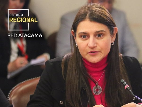 Diputada de Renovación Nacional Sofía Cid.