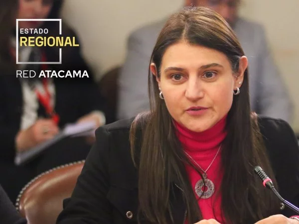 Diputada de Renovación Nacional Sofía Cid.