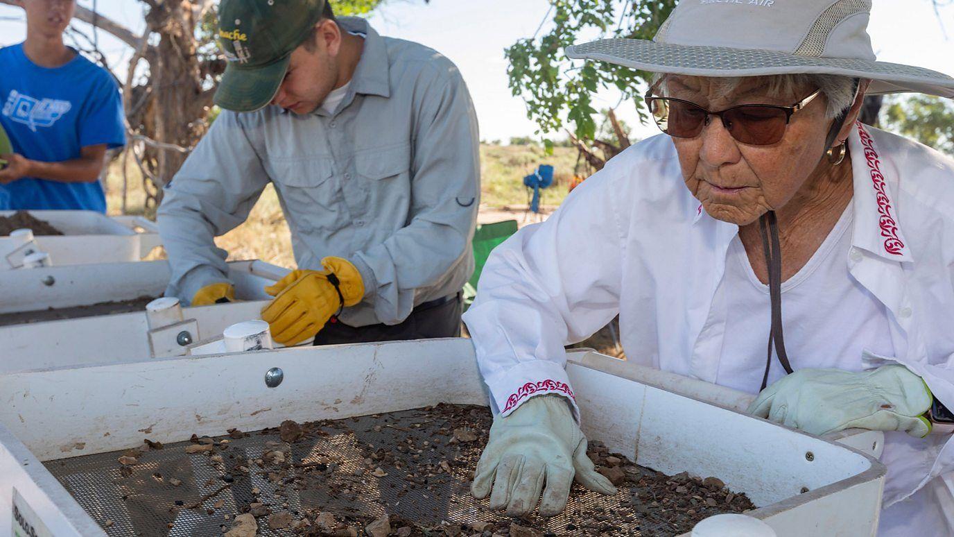 Voluntarios esculcan tierra en Amache.